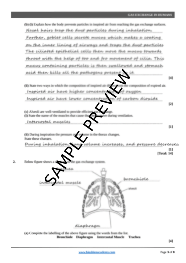 Unit-11: Gas Exchange in Humans – Complete Worksheet Pack (Set-1)