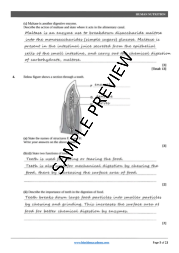 Unit-07: Human Nutrition – Complete Worksheet Pack (Set-1)