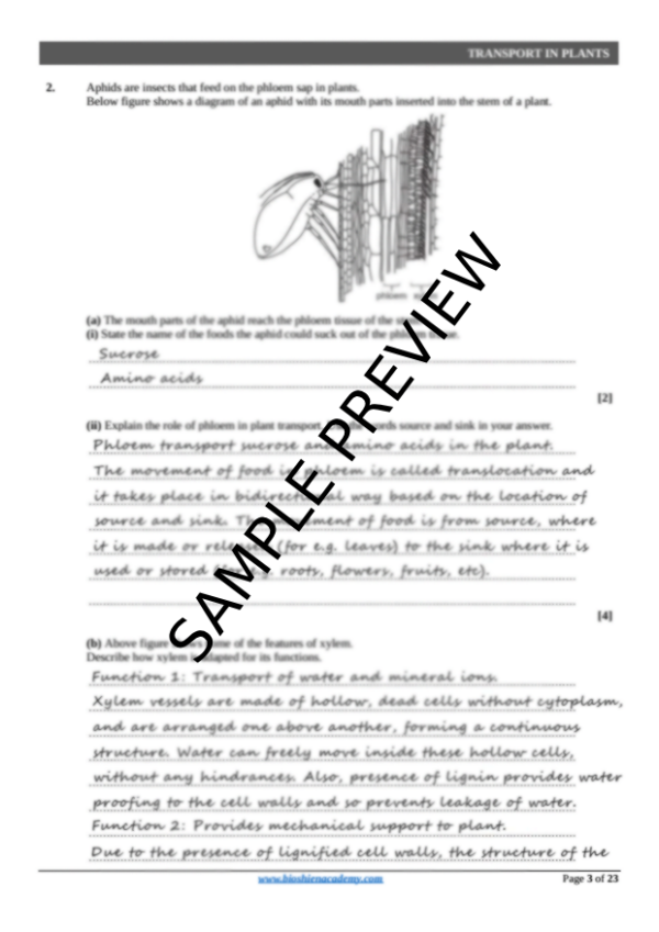 Unit-08: Transport in Plants – Complete Worksheet Pack (Set-1)