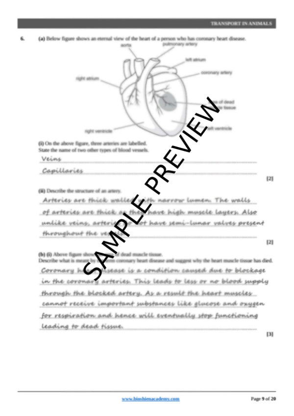 Unit-09: Transport in Animals – Complete Worksheet Pack (Set-1)
