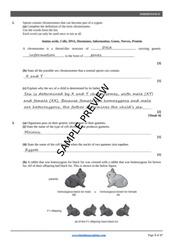 Unit-17: Inheritance – Complete Worksheet Pack (Set-1)