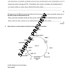 Unit-12: Energy and Respiration – Complete Worksheet Pack (Set-1)