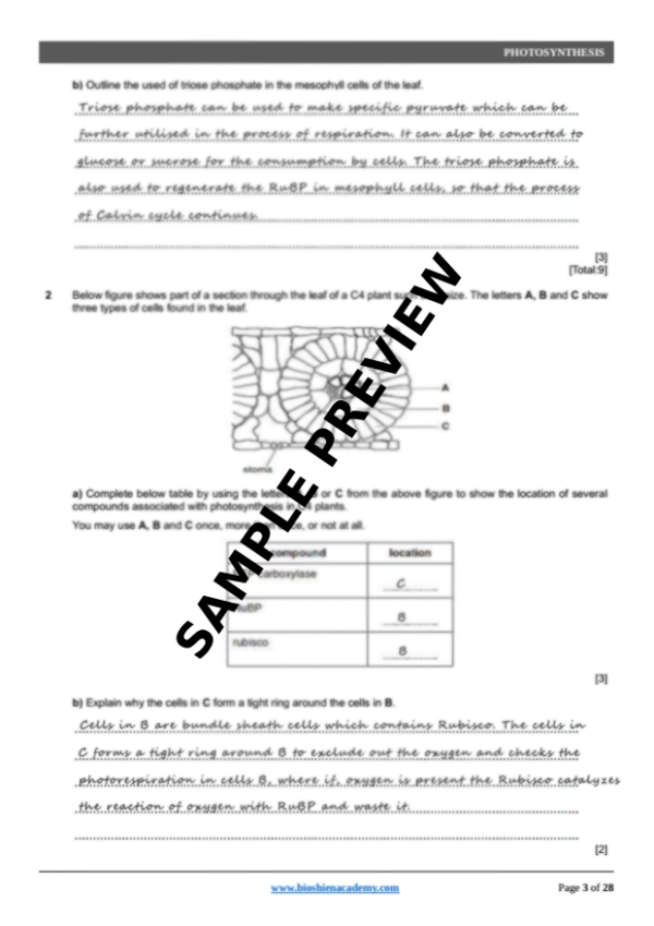 Unit-13: Photosynthesis – Complete Worksheet Pack (Set-1)