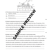 Unit-15: Control and Coordination – Complete Worksheet Pack (Set-1)