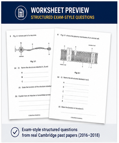 A-Level Biology (9700) – Complete Worksheet Pack (All 8 Units) - Set-1