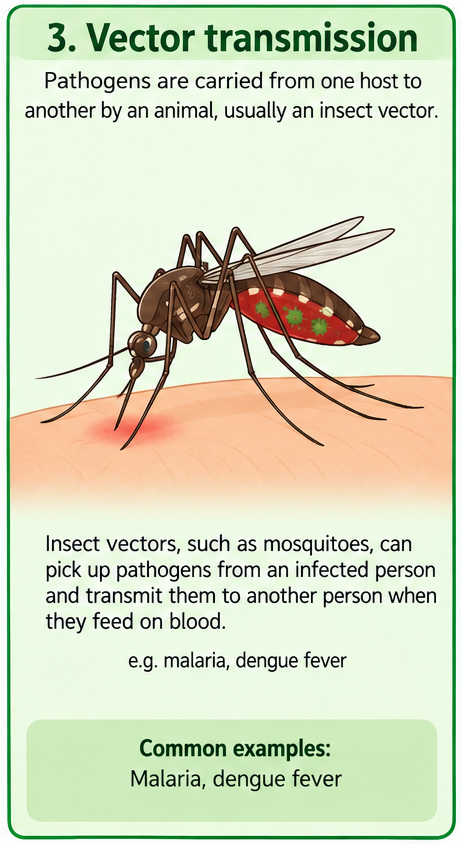 vector borne transmission of diseases